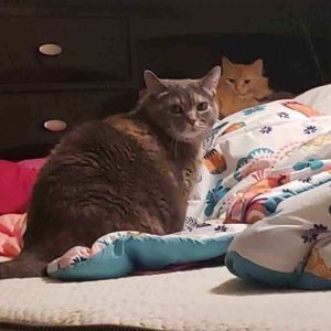 Meet your Posher, Brooke